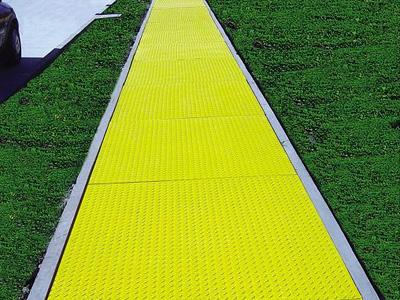 道路草坪丝瓜视频二维码APP应用